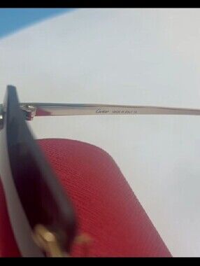 Cartier Sunglasses - Black Frame with Gold Temples